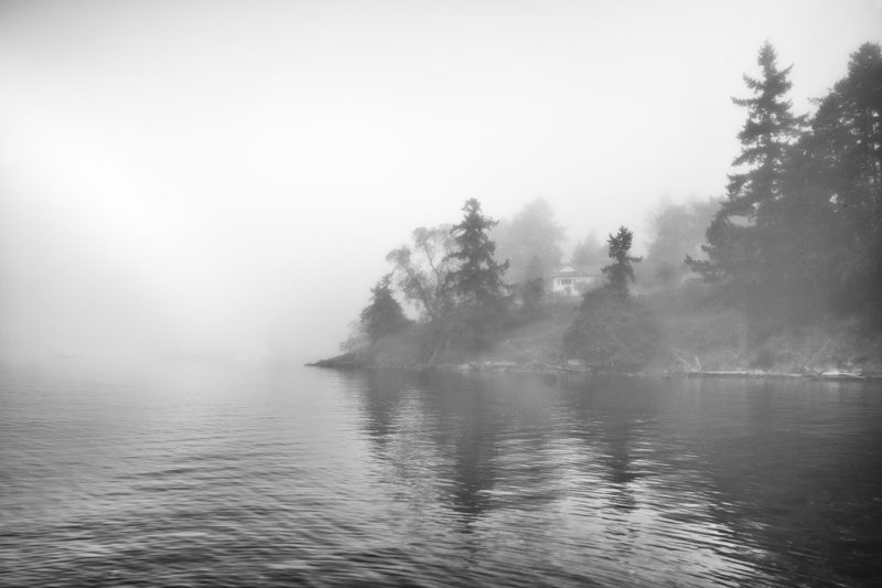 Port Washington fog, Pender Island B.C.